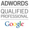 Mike Francois - Certifié Professionnel Google AdWords
